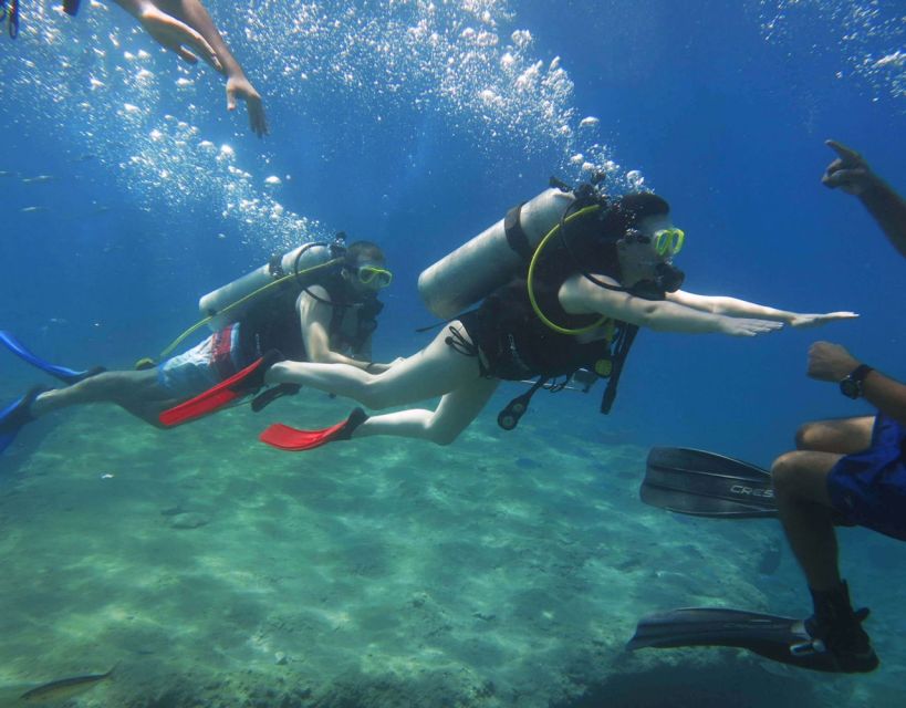 Fethiye: 2 Guided Scuba Dives with Lunch and Hotel Transfers - Price Value: What You Get for $70, and What Might Cost Extra
