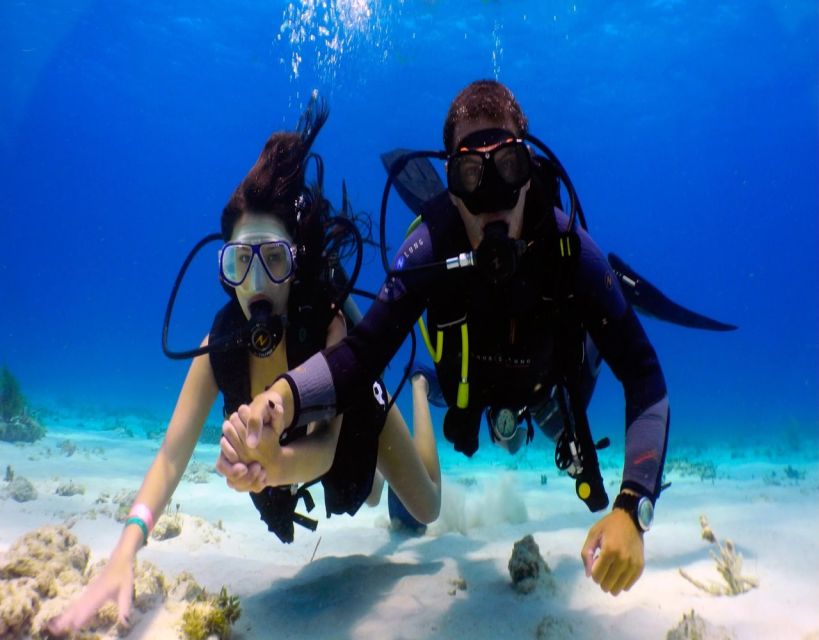 Fethiye: 2 Guided Scuba Dives with Lunch and Hotel Transfers - Door-to-Door Transfers in Fethiye, and the “Show Up on Time” Rule