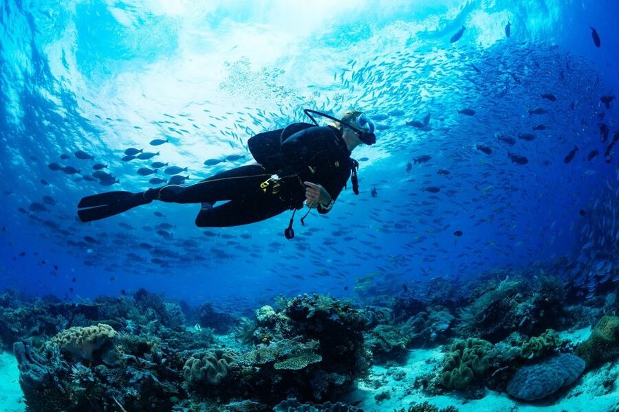 Fethiye: Professional Scuba Diving with Lunch - The 8-hour flow: pickup, gear, practice, then two underwater sessions