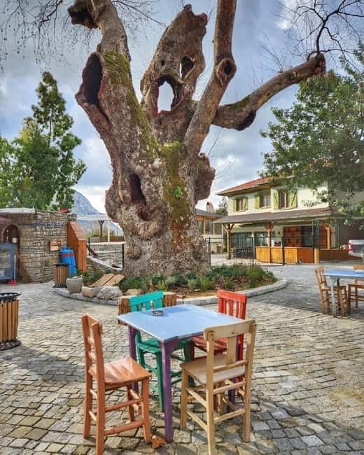 Fethiye Quad Safari Adventure - Hisaronu Village farm visit: a grounded start