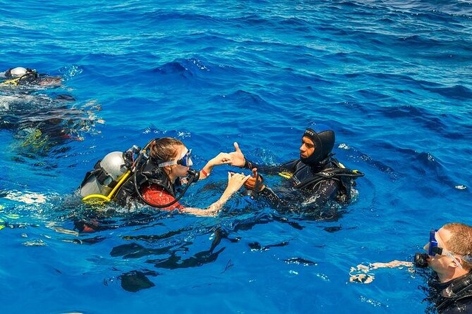 Fethiye Scuba Diving with Transfer, 2 Dives and Lunch - Fethiye’s warm, clear water, and what that changes for you