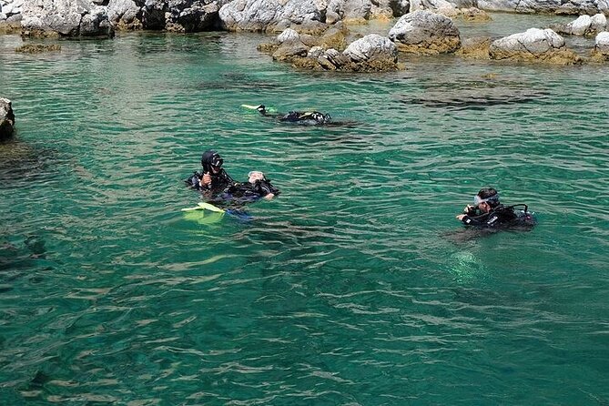 Fethiye Scuba Diving with Transfer, 2 Dives and Lunch - Price value: $105 for two sessions, gear, lunch, and transfers