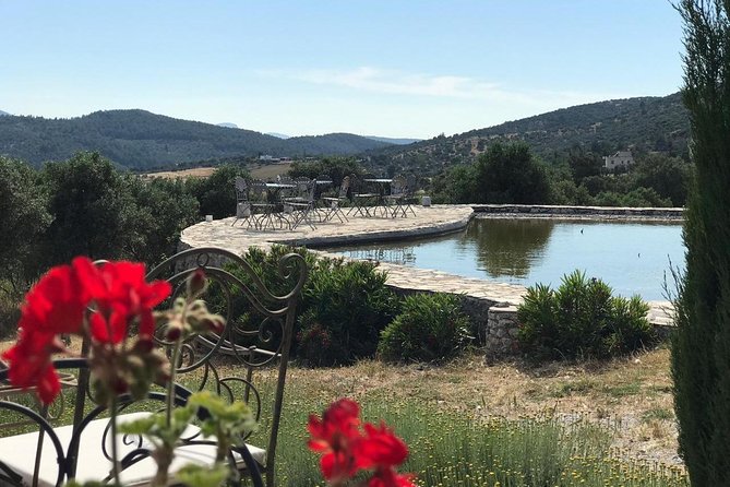 Food and Wine pairing Dinner at Karnas Vineyards Bodrum - Welcome glass of Rose Zinfandel, plus the property vibe you can actually feel