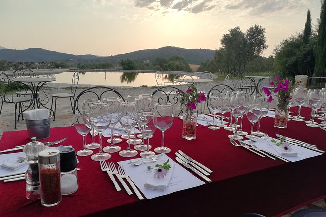 Food and Wine pairing Dinner at Karnas Vineyards Bodrum - The cellar tour: short, human, and led by the vineyard team