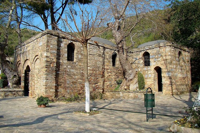 FOR CRUISERS: PRIVATE EPHESUS TOUR INCLUDES ENTRY FEES & Lunch - Skip-the-Line Options and Fees: How to Think About It