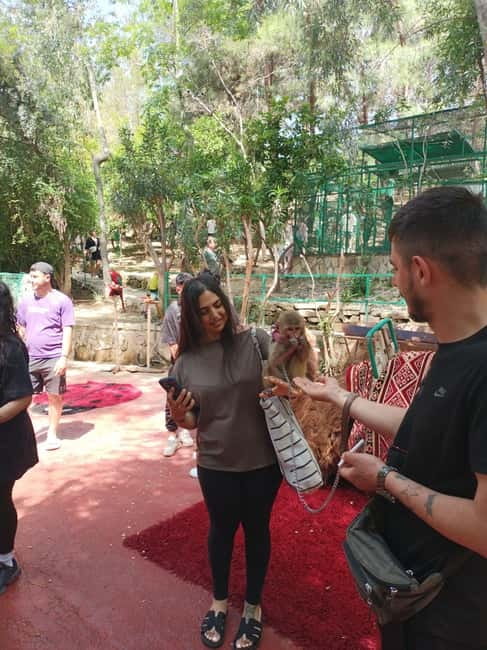 From Alanya: Lion Safari & Green Canyon Splash Feast w/Lunch - Quick Takes