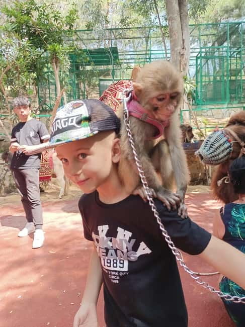 From Alanya: Lion Safari & Green Canyon Splash Feast w/Lunch - Green Canyon Splash Moments and Water-War Energy