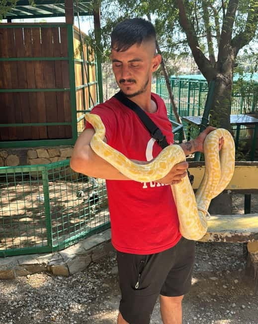 From Alanya: Lion Safari & Green Canyon Splash Feast w/Lunch - Price and What You Actually Get for $27