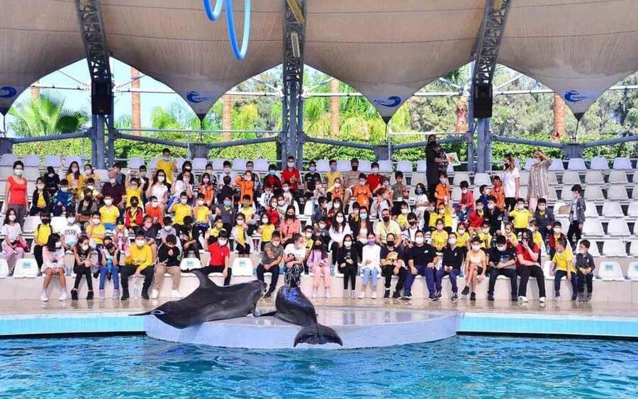 From Belek: Dolphin Show with Transfers - The Main Reason People Either Love It or Don’t