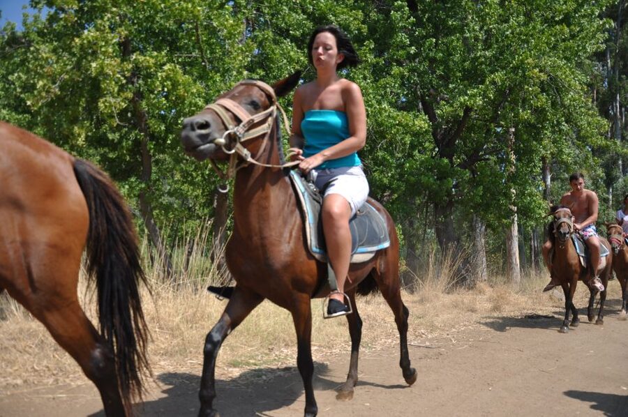 From Bodrum/Gümbet: Guided Horseback Riding Expereince - Language, Communication, and Guide Support