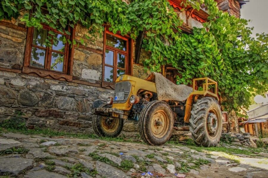 From Bodrum: Private Village Tour with Lunch and Transfers - The Village Walk: Mosque, Homes, and Daily Work You Can Name
