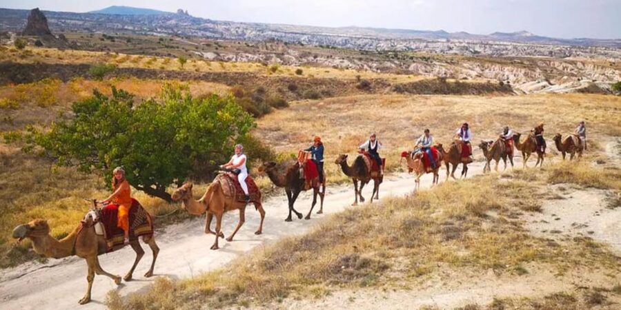 From Cappadocia: Sunrise or Sunset Camel Riding Day Trip - The provider: Almila Tour and what that implies