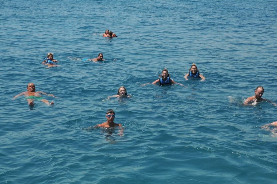 From City of Side: Dolphins Island Boat Trip with Transfer - Dolphins in the Wild: Hope for It, Plan for Anything