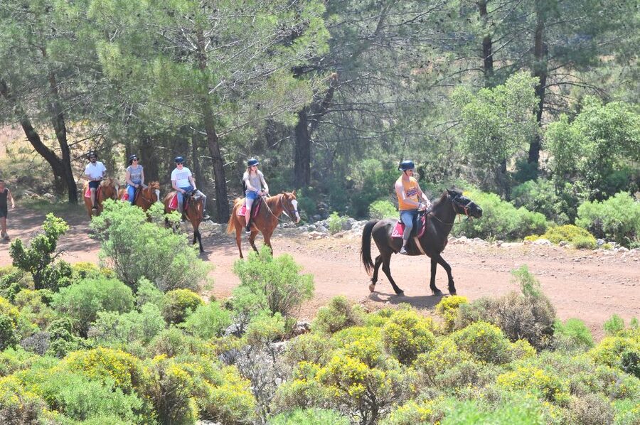 From Fethiye: Horse Riding Adventure - The 1.5-Hour Ride: A Guided Route Through Real Countryside
