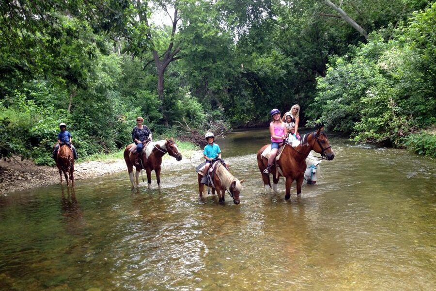 From Fethiye: Horse Riding Adventure - Safety and Comfort: Helmet Use, Beginner-Friendly Horses, and Fit