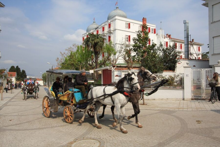 From Istanbul: Full-Day Princes Island Tour with Lunch - Princes Islands by boat, not a museum day