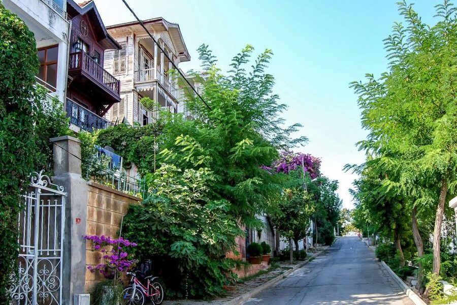 From Istanbul: Full-Day Princes Island Tour with Lunch - Cruising the Sea of Marmara: views you can’t get on land