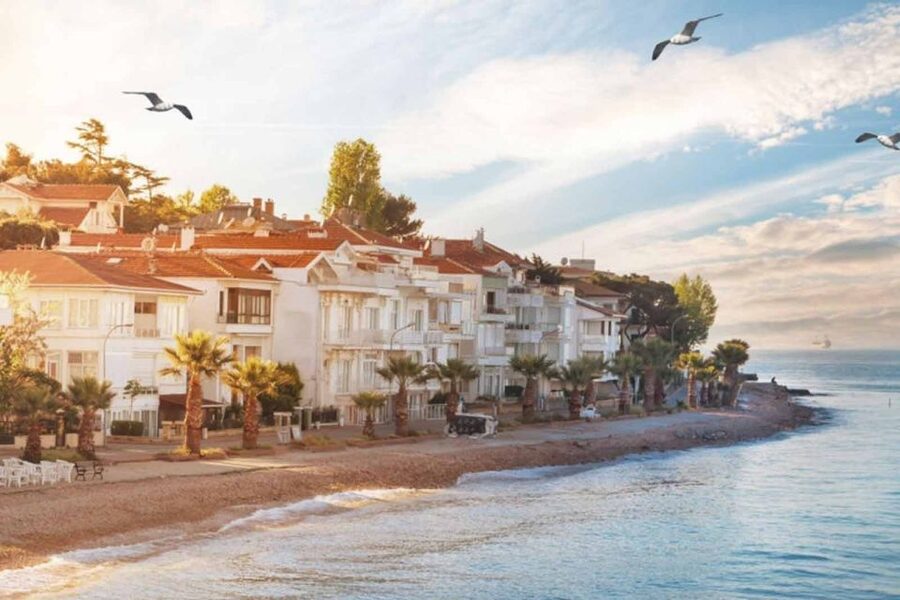 From Istanbul: Full-Day Princes Island Tour with Lunch - Value check: is $26 really fair?