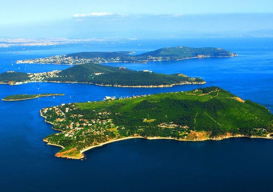 From Istanbul: Full-Day Princes Island Tour with Lunch - Who should book this Princes Islands full-day tour