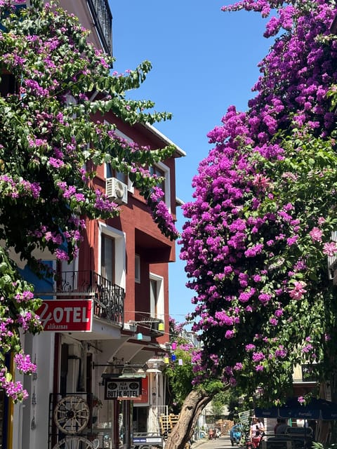 From Istanbul: Princess Islands Guided Tour - Heybeliada hour: photos, a guided walk, and quick choices