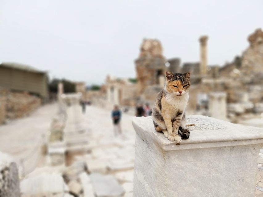 From Istanbul: Private Guided Day Trip to Ephesus with Lunch - Key highlights that make this trip work