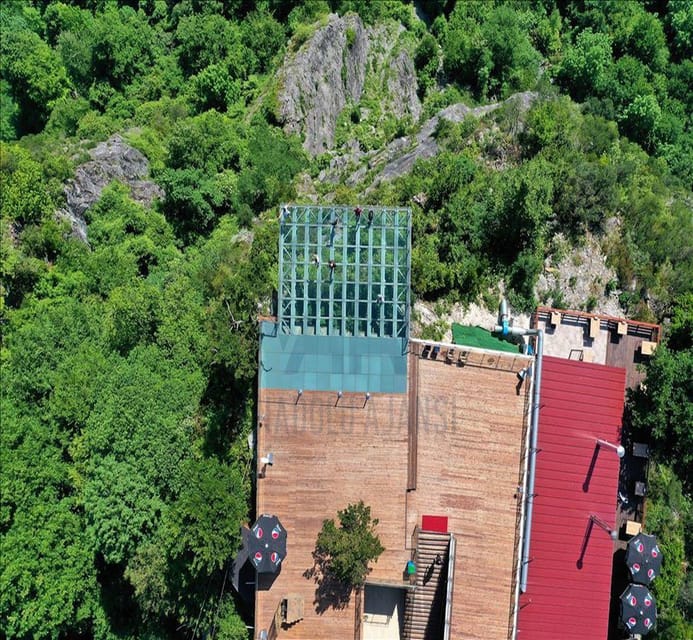From Istanbul: Sapanca & Maşukiye Full-Day Tour with Lunch - Darica Zoo stop: what’s included, what’s extra