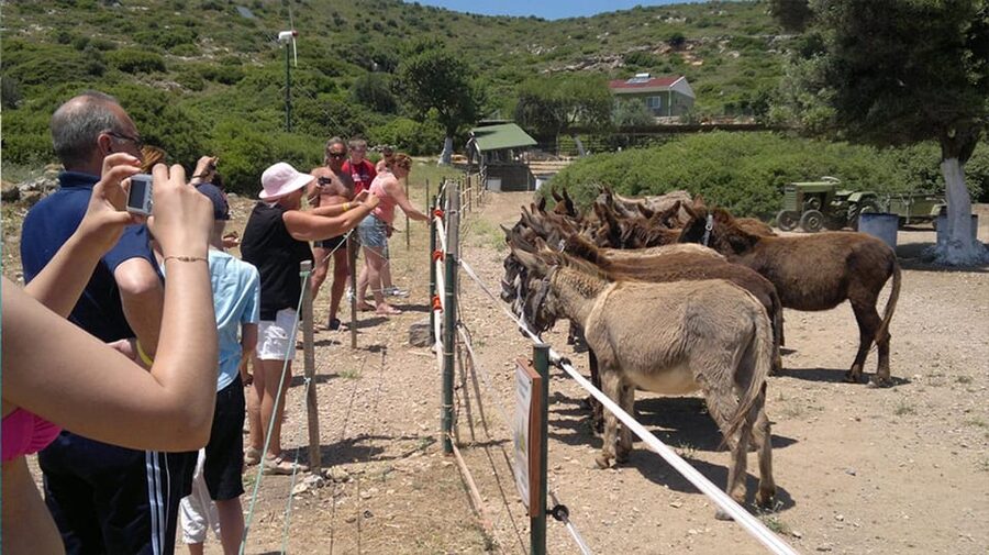 From Izmir: Full Day Boat Trip around Cesme with BBQ Lunch - Price and Value: Is $89 Worth It?