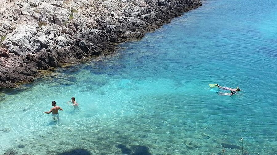 From Izmir: Full Day Boat Trip around Cesme with BBQ Lunch - Donkey Island: When the Tour Lets You Step Off