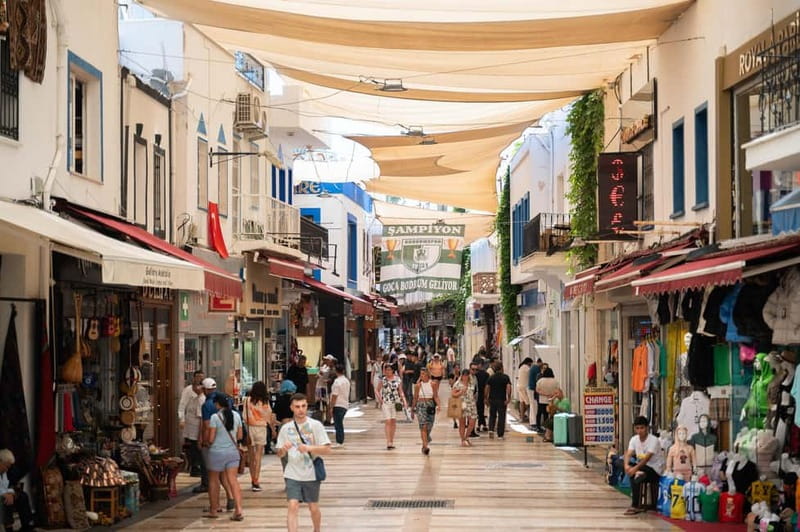 From Kos: Bodrum Day Trip by Ferry with Transfer - Key points that make this day trip work