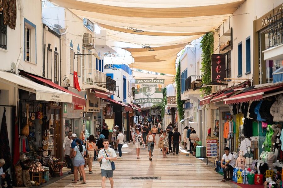 From Kos: Bodrum Day Trip by Ferry with Transfer - Who this day trip is best for, and who might want a different plan