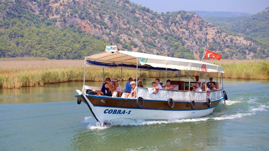 From Marmaris: Day Trip to Dalyan with Lunch - From Marmaris to Koycegiz Lake: morning on the water