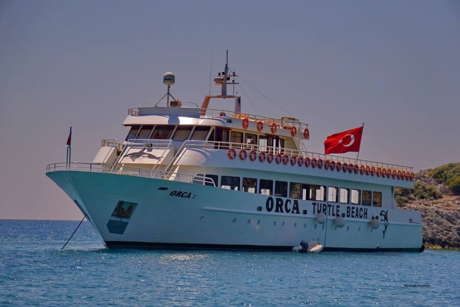 From Marmaris: Day Trip to Dalyan with Lunch - Dalyan thermal springs and mud baths: 12 springs, one stop