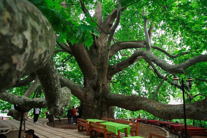 Full Day Bursa Tour from Istanbul(cable car, Lunch & transfer) - Price and what you actually get for $42.14