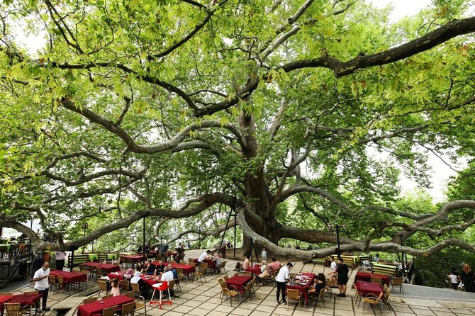 Full Day Guided Tour to Bursa with Lunch and Cable Car - Uludag National Park: mountain time, lunch, and cable car views
