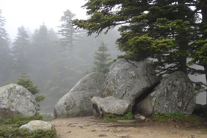 Full-Day Istanbul to Bursa Excursion With Cable Car - Uludag National Park: the reset after Istanbul’s busier streets