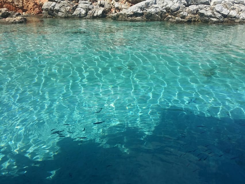 Full-Day Orak Island Boat Trip from Bodrum - Drinks policy: what’s included, what costs extra
