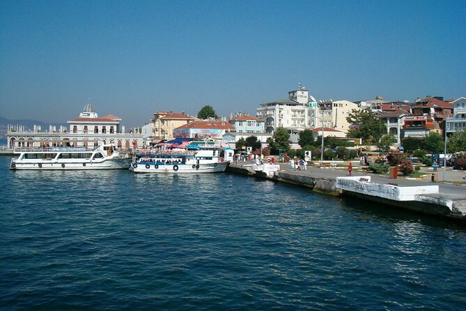 Full-Day Princes Island Tour with Lunch from Istanbul - Crowd factor and comfort: what can make or break the day