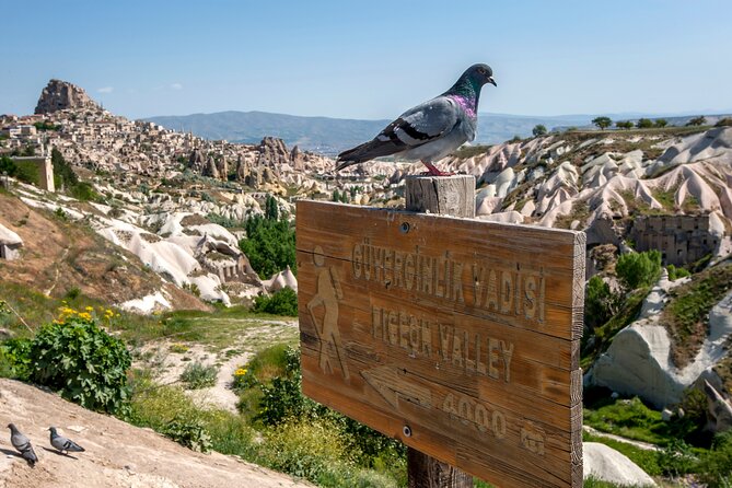 Full Day Private Cappadocia Tour (Guide & Driver) - Price and value: what $290.27 per group really means