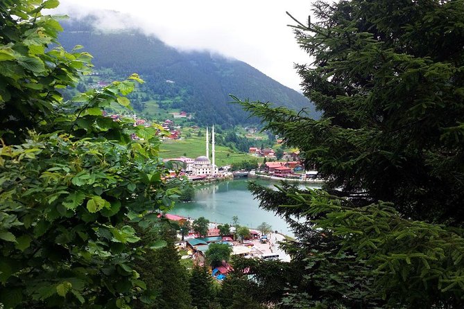 Full-Day Private Tour to Uzungöl from Trabzon - Demcay tea factory: how Black Sea tea is made, plus shopping time