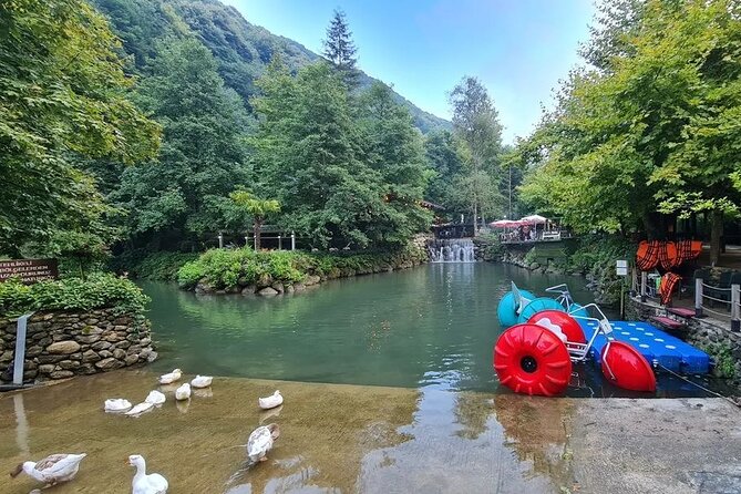 Full Day Tour in Sapanca & Masukiye from Istanbul - Why Sapanca and Maşukiye feel like a reset from Istanbul