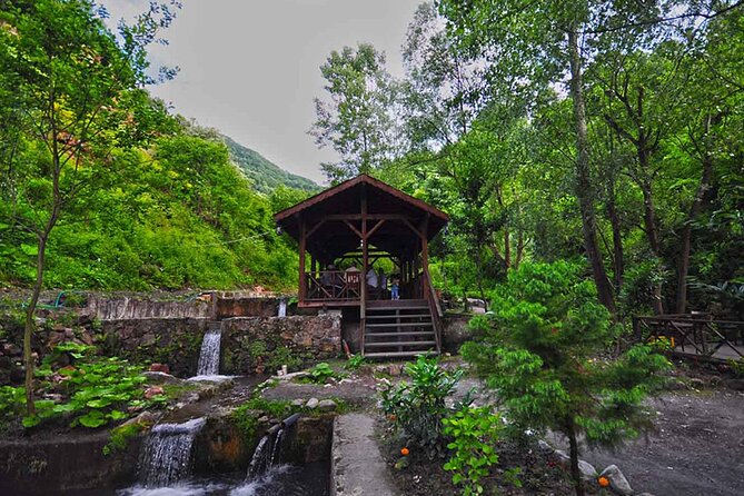 Full Day Tour Sapanca and Masukiye from Istanbul - A Short Trip Template That Feels Like a Real Escape