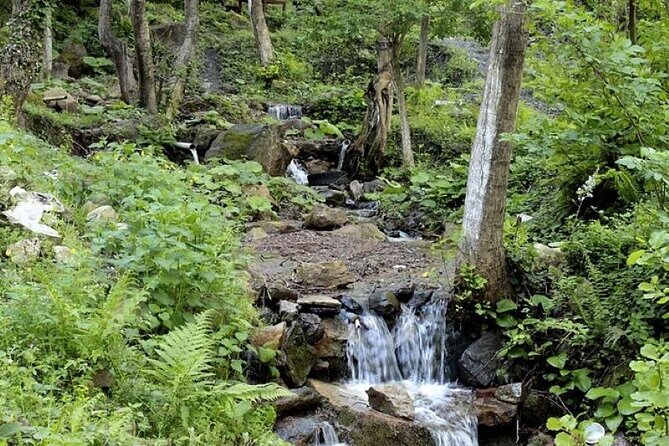 Guided Sapanca and Masukiye Full Day Tour from Istanbul - The Real “Day Trip” Layout, 10 Hours Without the Stress