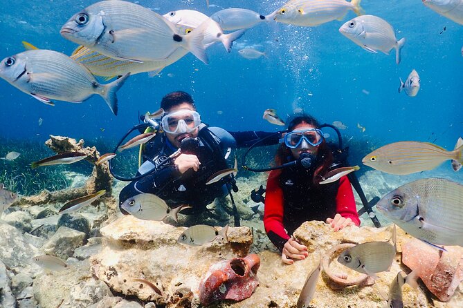 Guided Scuba Diving Experience in Kusadasi - Key Highlights You Will Feel Right Away