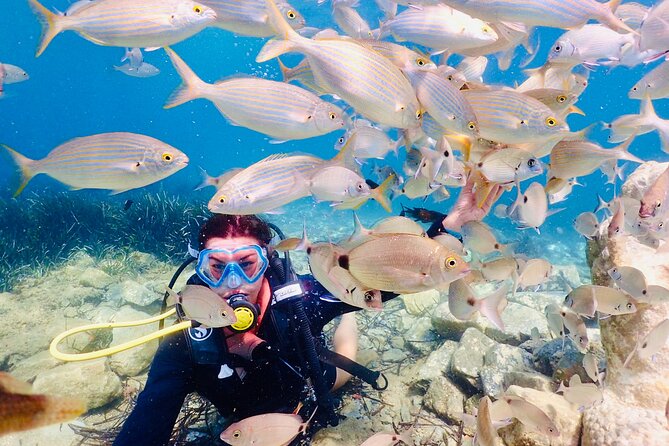 Guided Scuba Diving Experience in Kusadasi - Lunch and the Post-Water Part of the Day