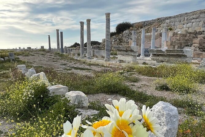 Half Day Guided Knidos Ancient City Tour - Who this tour is best for