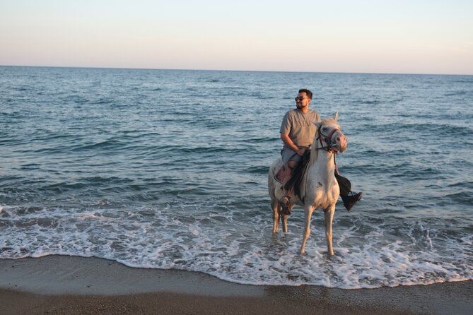 Horse back Riding in Antalya - Trained horses, beginner comfort, and how the guide helps