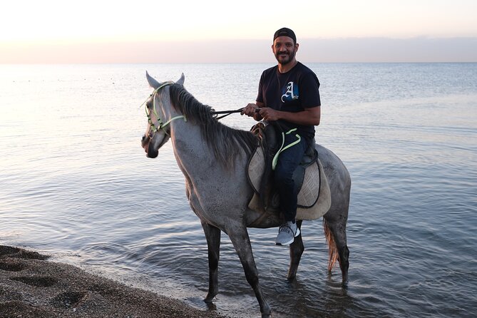 Horse back Riding in Antalya - The 1 hour 20 minutes flow: what you will do