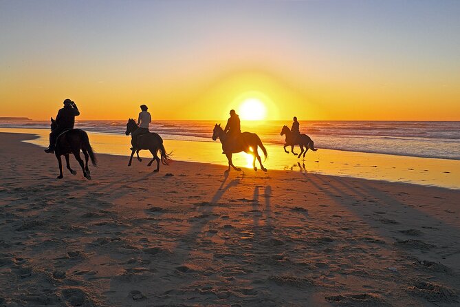 Horse Riding in Antalya,Belek,Lara Beach(Sunrise,Sunset,Day Time) - Horse Training and Safety: How to Think About Risk Before You Mount