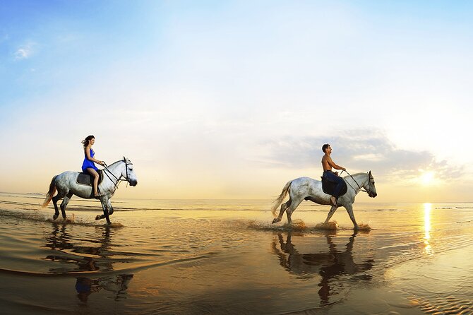 Horse Riding in Antalya,Belek,Lara Beach(Sunrise,Sunset,Day Time) - Photos and Extras: When the “Memories” Cost Adds Up