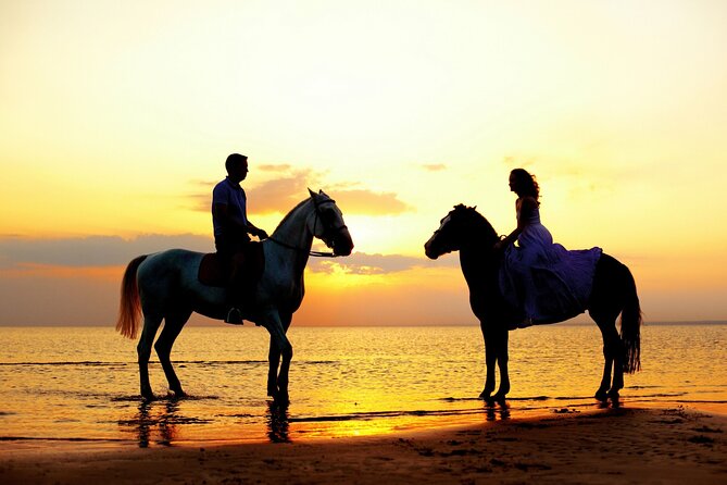 Horse Riding in Antalya,Belek,Lara Beach(Sunrise,Sunset,Day Time) - Weather, Light, and Slot Changes: Why Your Timing Matters